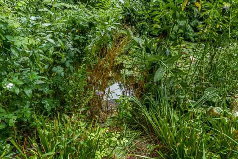 8351 Snaresbrook Road Property Photo 44