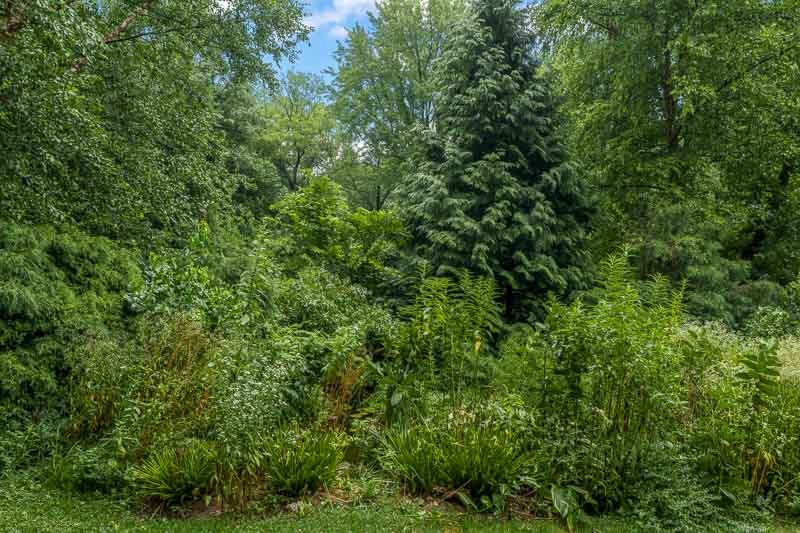8351 Snaresbrook Road Property Photo 48