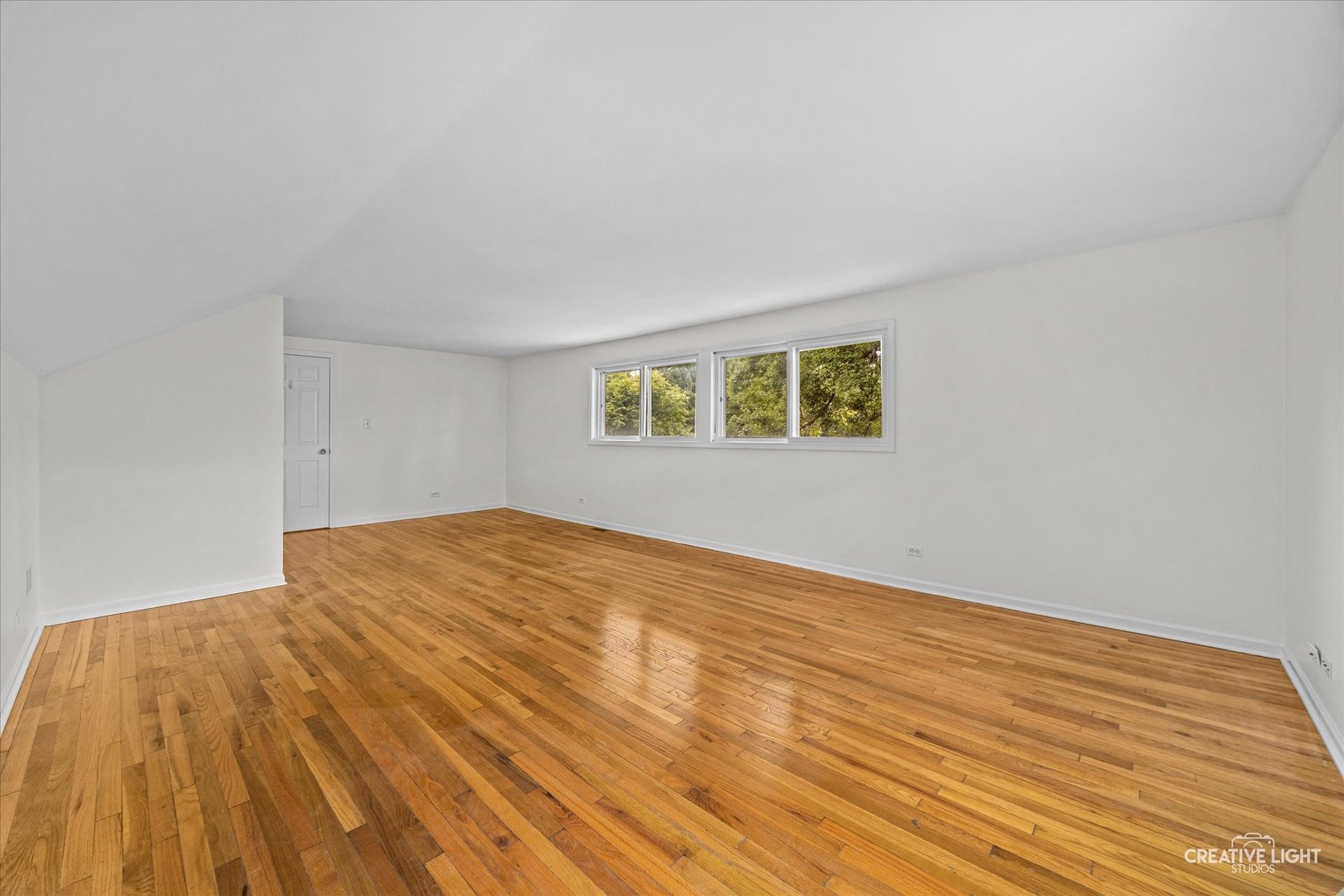1333 Briarwood Drive Property Photo 17