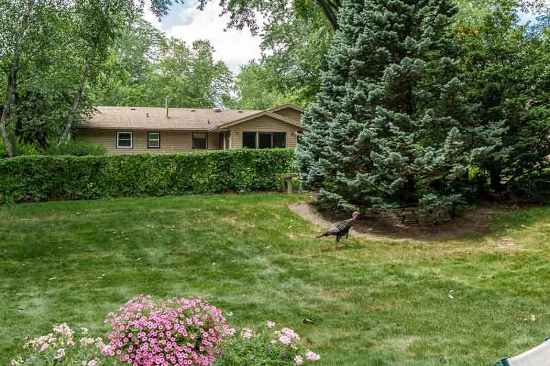 3342 Montlake Drive Property Photo 49