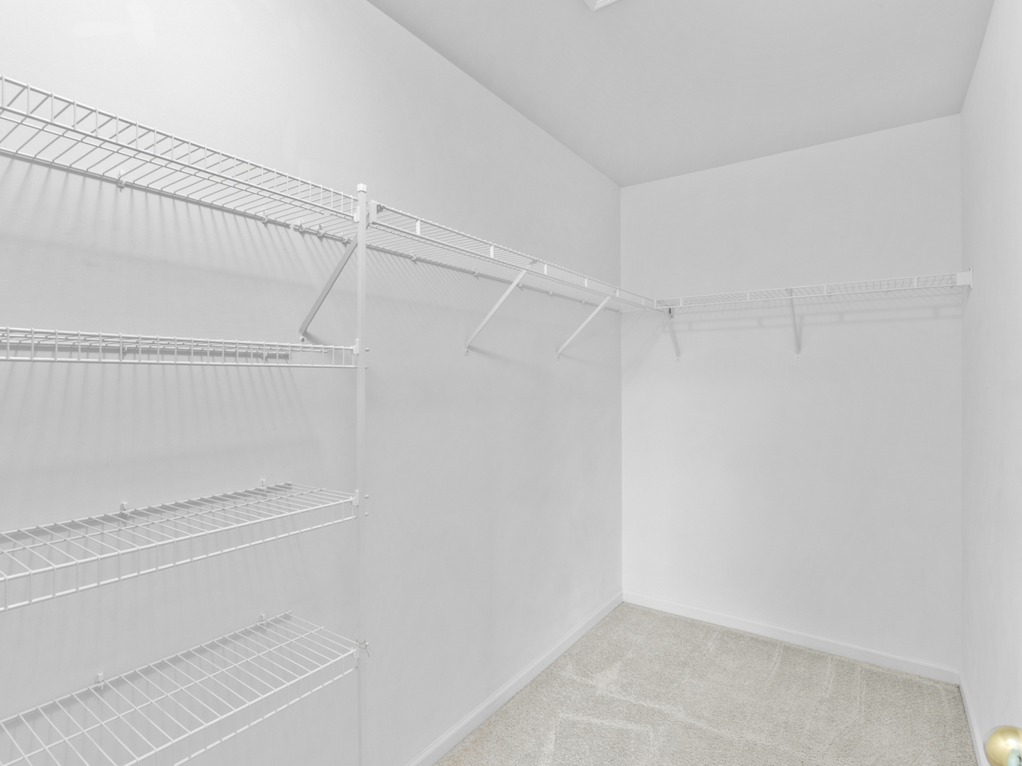 236 Bertram Drive J Property Photo 17