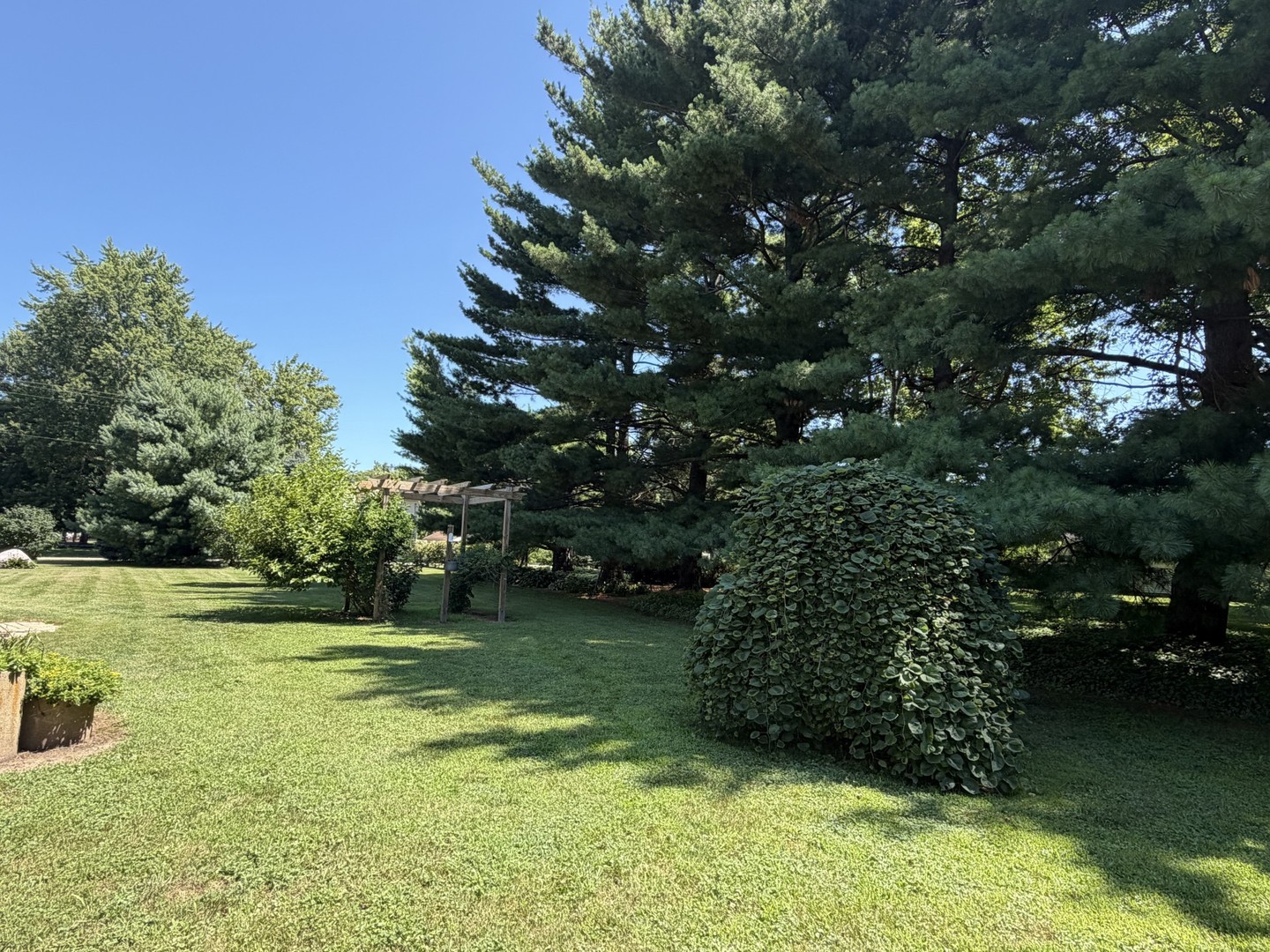 404 Timber Street Property Photo 43