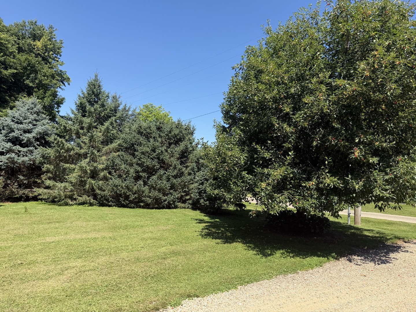 404 Timber Street Property Photo 45