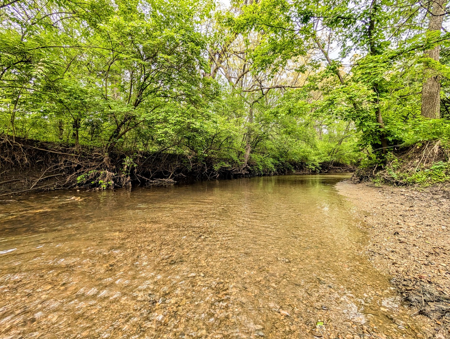 12858 W Regan Road Property Photo 10