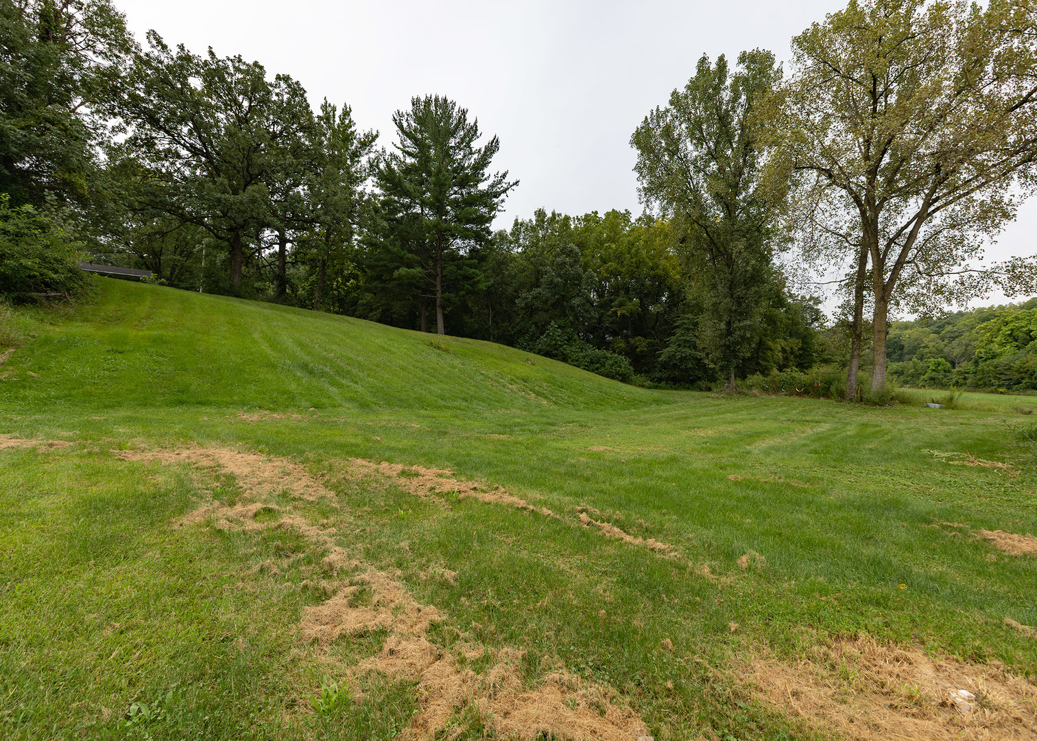 12724231 Property Photo 25
