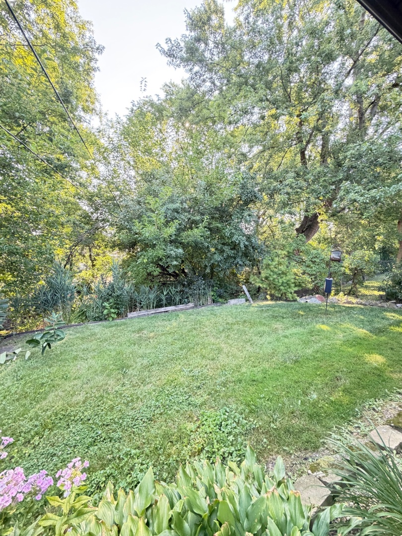 381 N Silverleaf Boulevard Property Photo 12