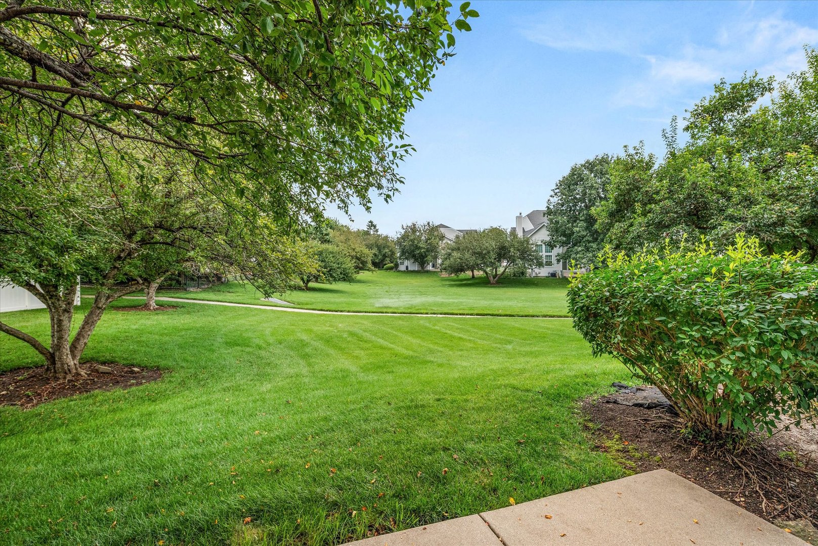 3804 Petra Court Property Photo 4