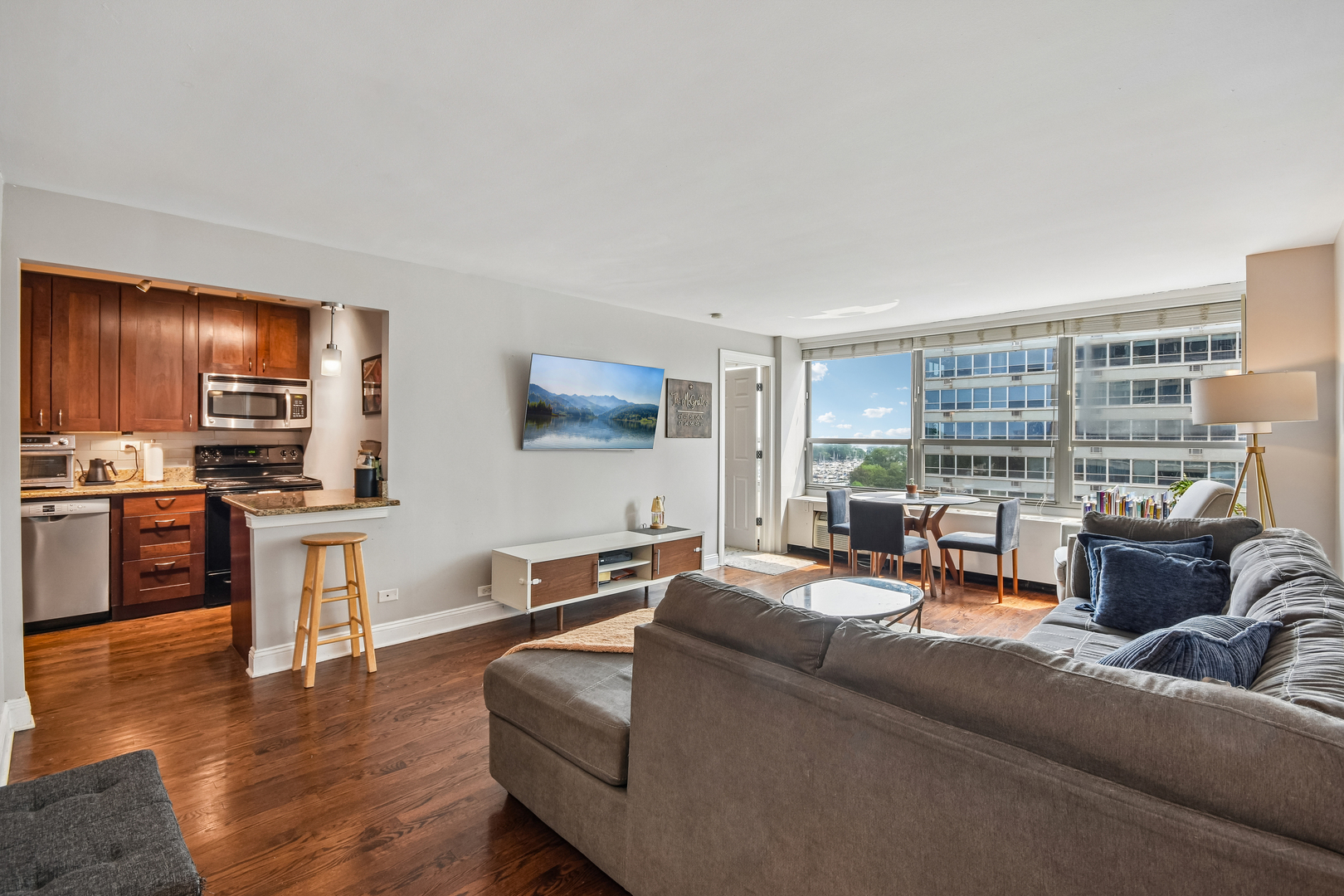 3550 N Lake Shore Drive 1117 Property Photo 12