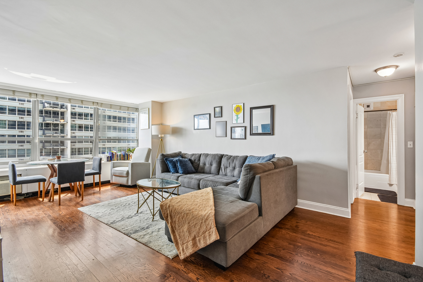3550 N Lake Shore Drive 1117 Property Photo 13