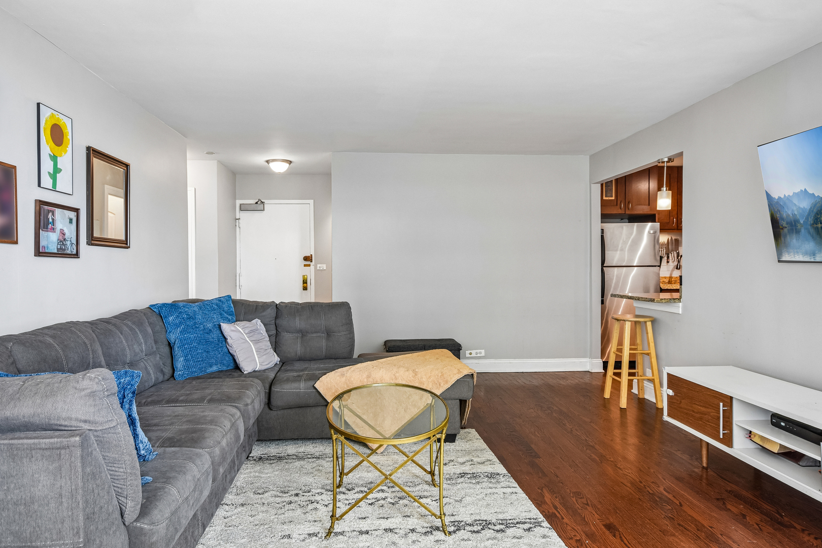 3550 N Lake Shore Drive 1117 Property Photo 17