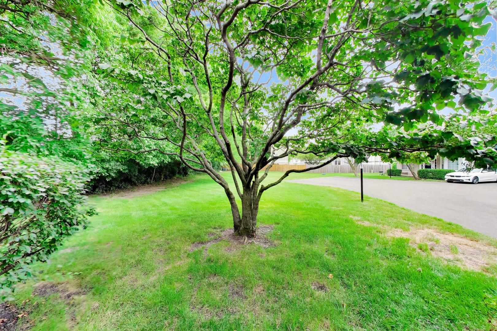 3526 Frontenac Court Property Photo 28