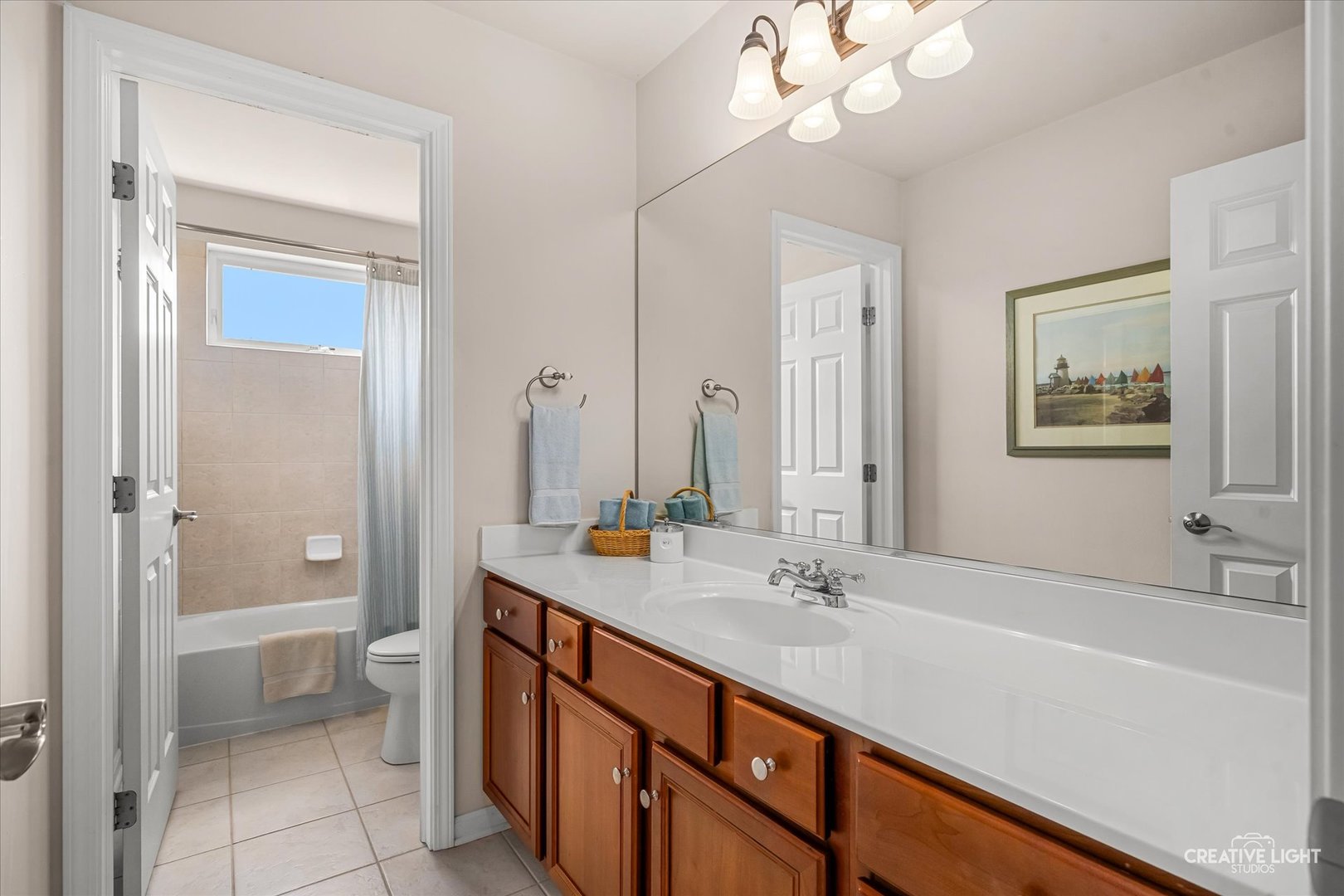 39w511 S Hyde Park Property Photo 22