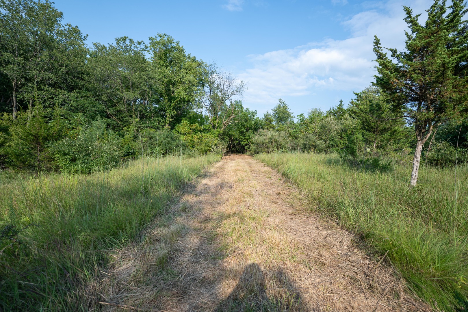 6460 E Skinner Road Property Photo 18