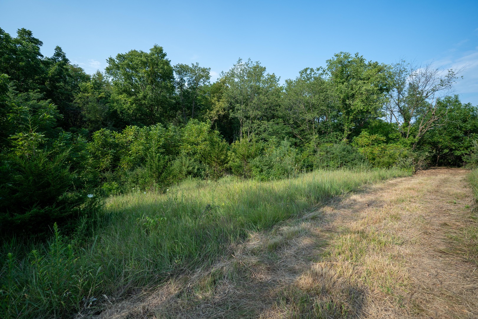 6460 E Skinner Road Property Photo 19