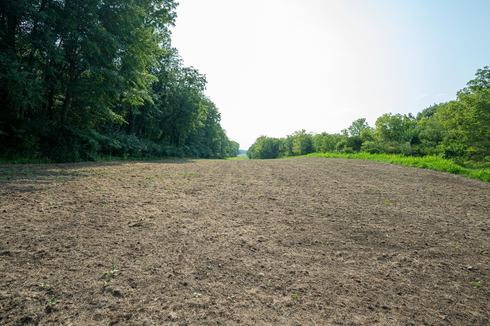 6460 E Skinner Road Property Photo 21