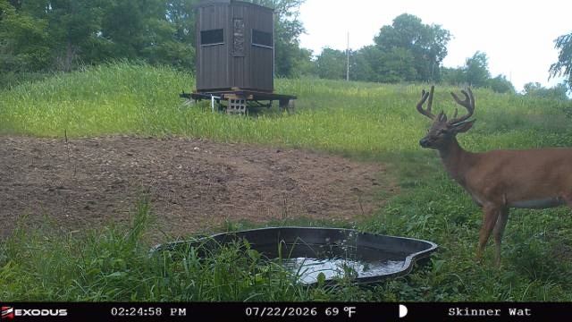 6460 E Skinner Road Property Photo 53
