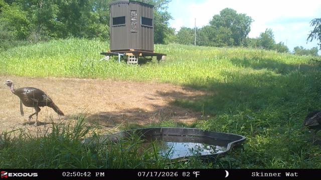 6460 E Skinner Road Property Photo 58