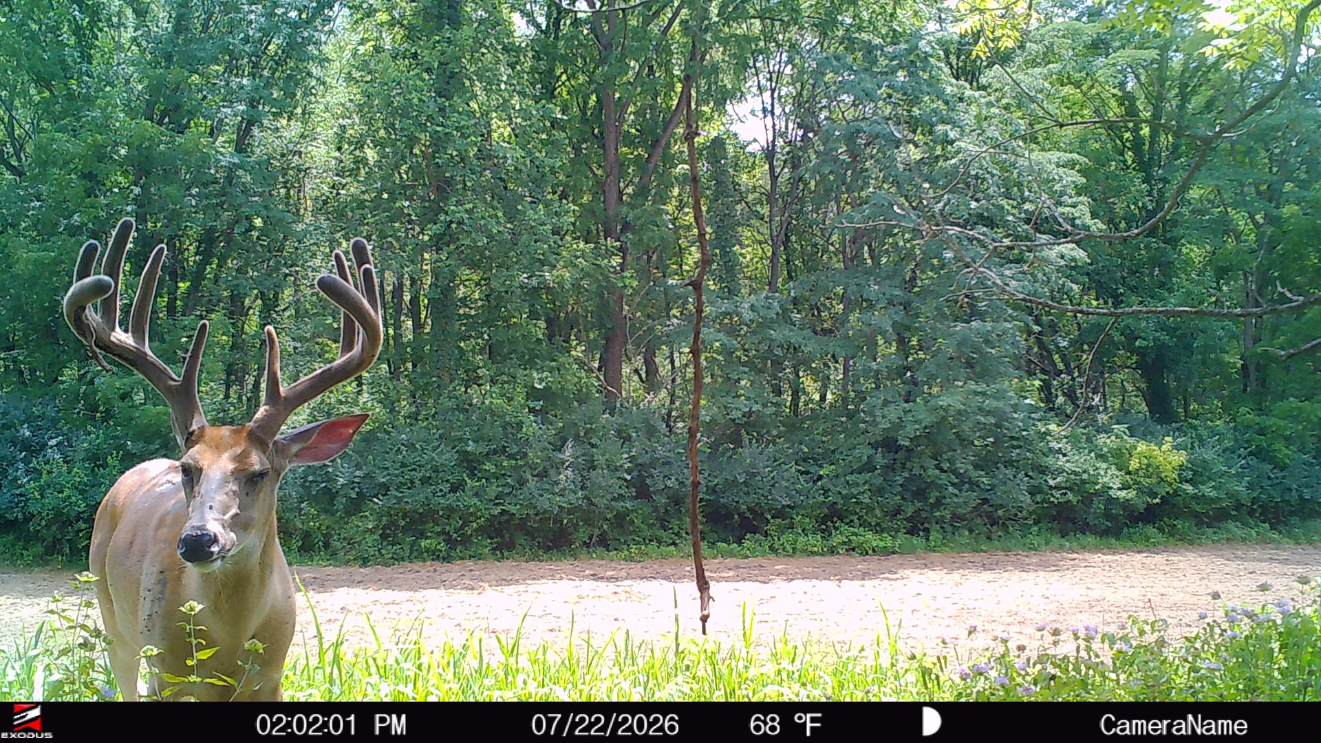6460 E Skinner Road Property Photo 59