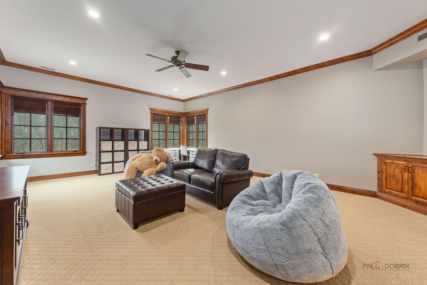 37w209 Deer Pond Court Property Photo 79