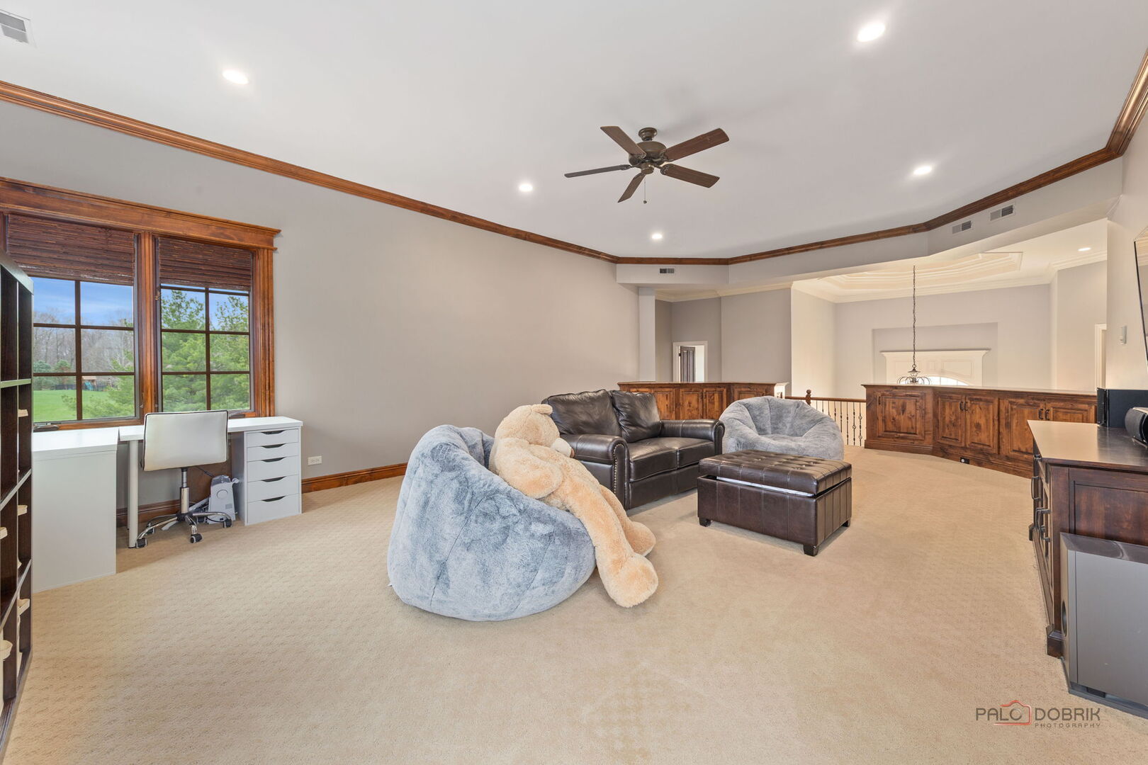 37w209 Deer Pond Court Property Photo 81