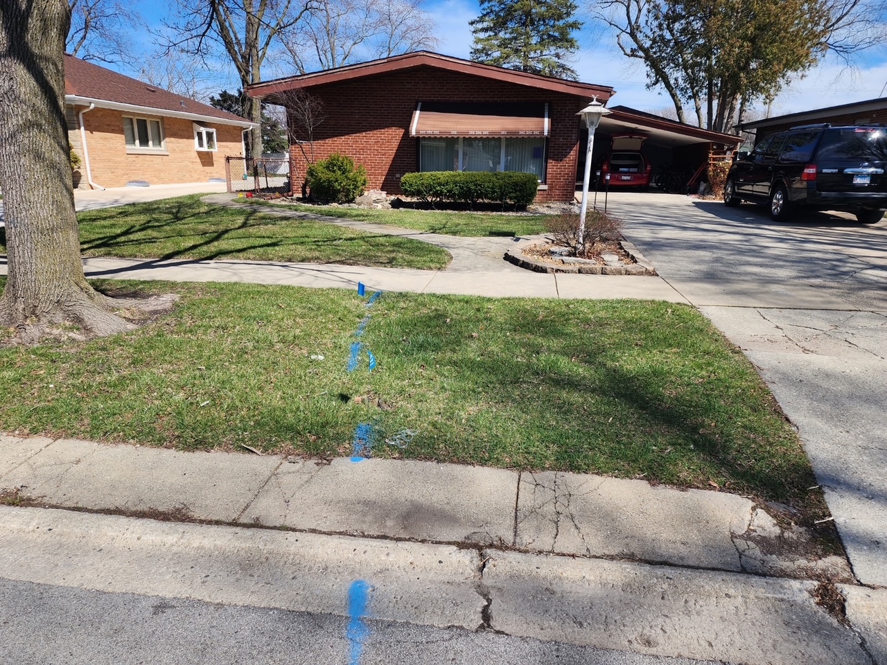 259 Barron Street Property Photo 1