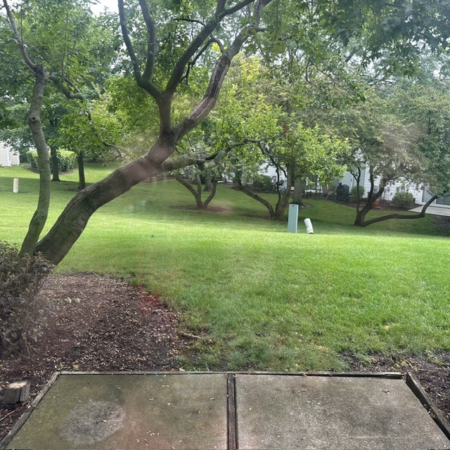 545 Woodcrest Drive 545 Property Photo 17