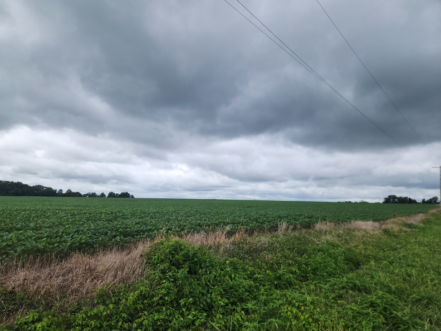 0000 Lost Prairie Road Property Photo 1
