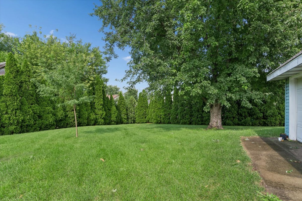 1846 Corregidor Street Property Photo 22