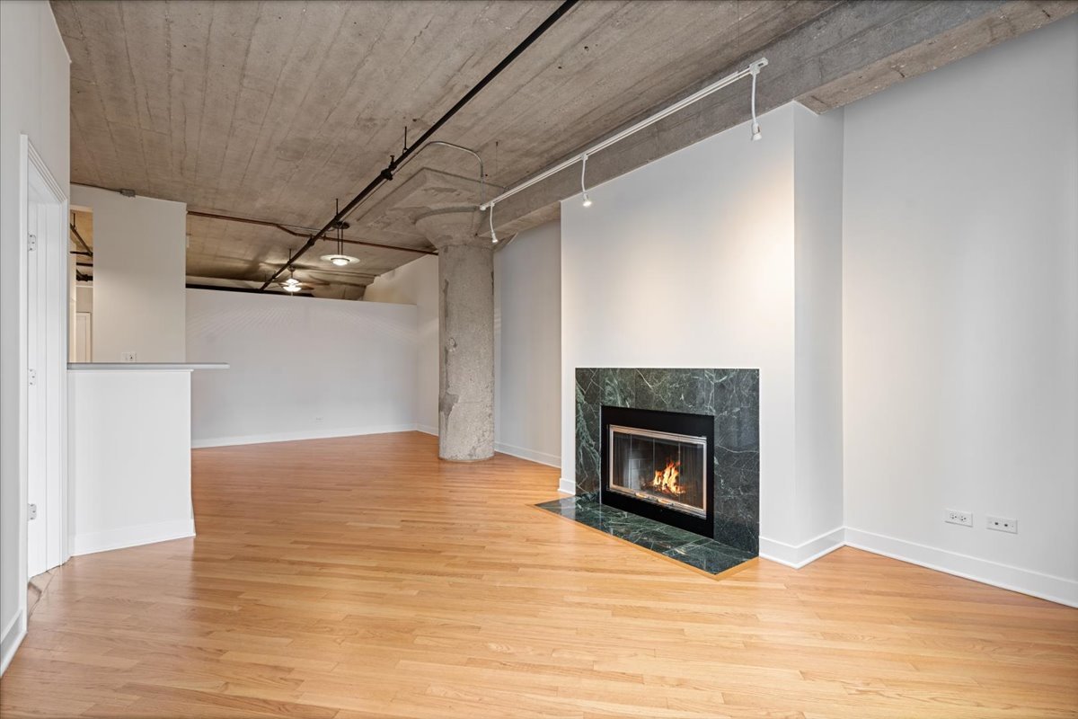 411 W Ontario Street 420 Property Photo 6