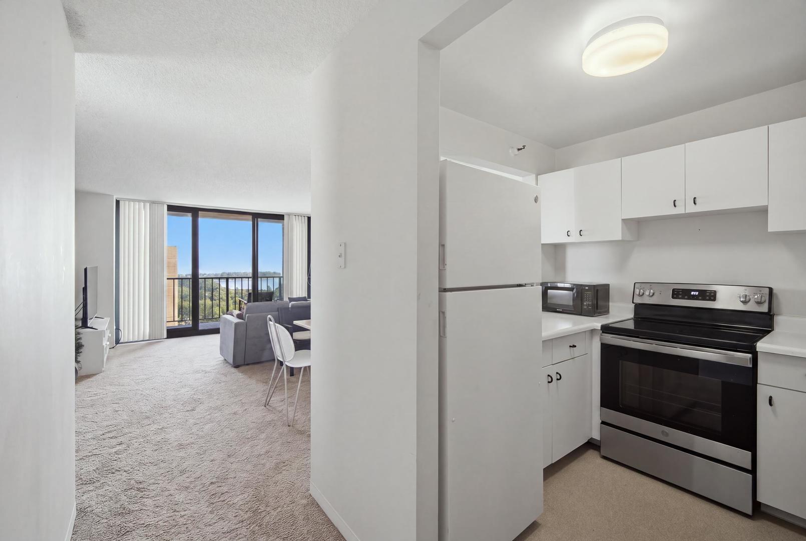 3660 N Lake Shore Drive 1506 Property Photo 6