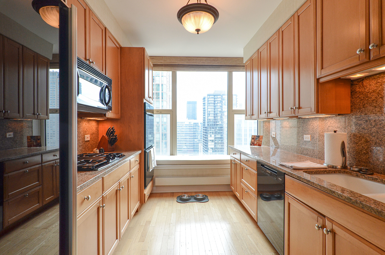 25 E Superior Street 3701 Property Photo 6