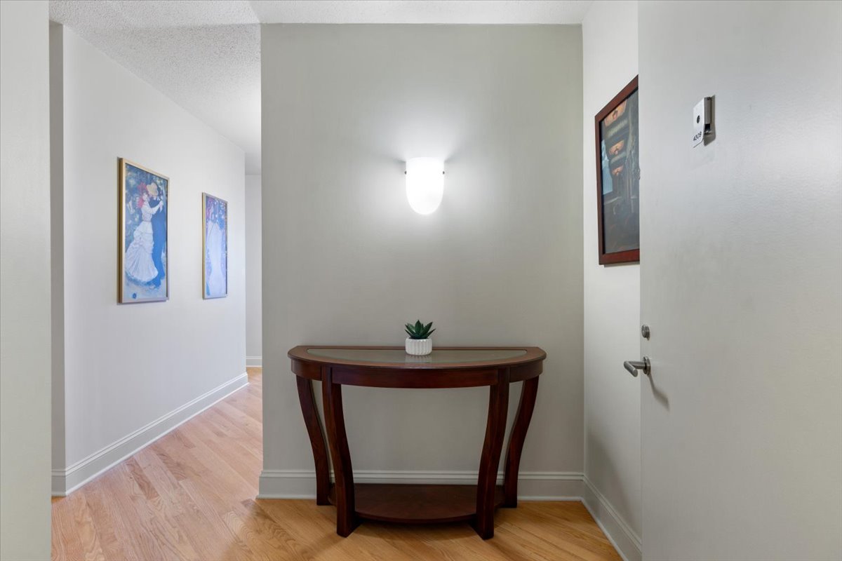 512 N Mcclurg Court 4309 Property Photo 4
