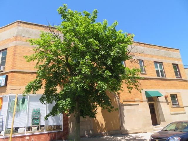 1552 W Highland Avenue 2E Property Photo 1