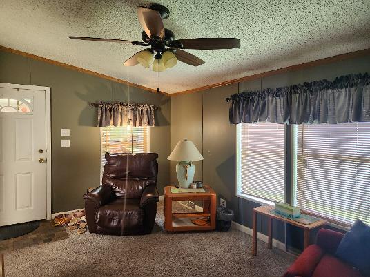 8 Doral Street Property Photo 7