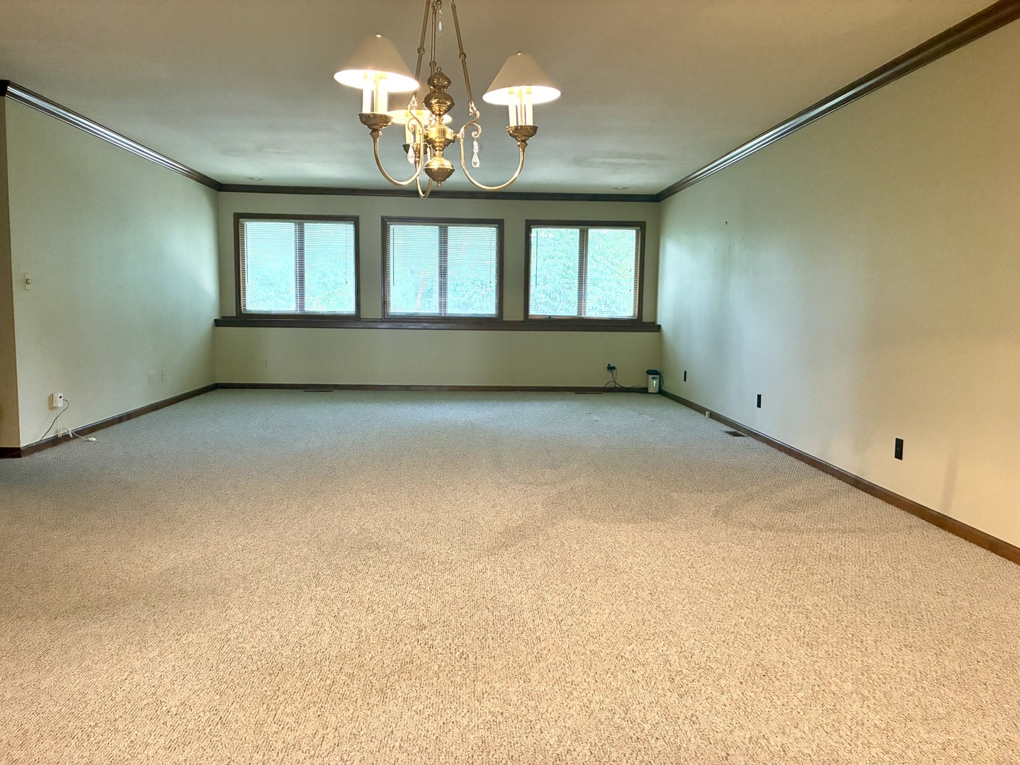 503 Donegal Drive Property Photo 4