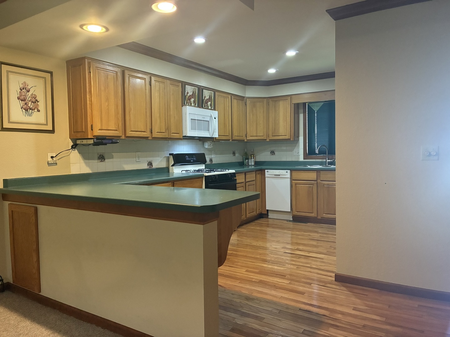 503 Donegal Drive Property Photo 5