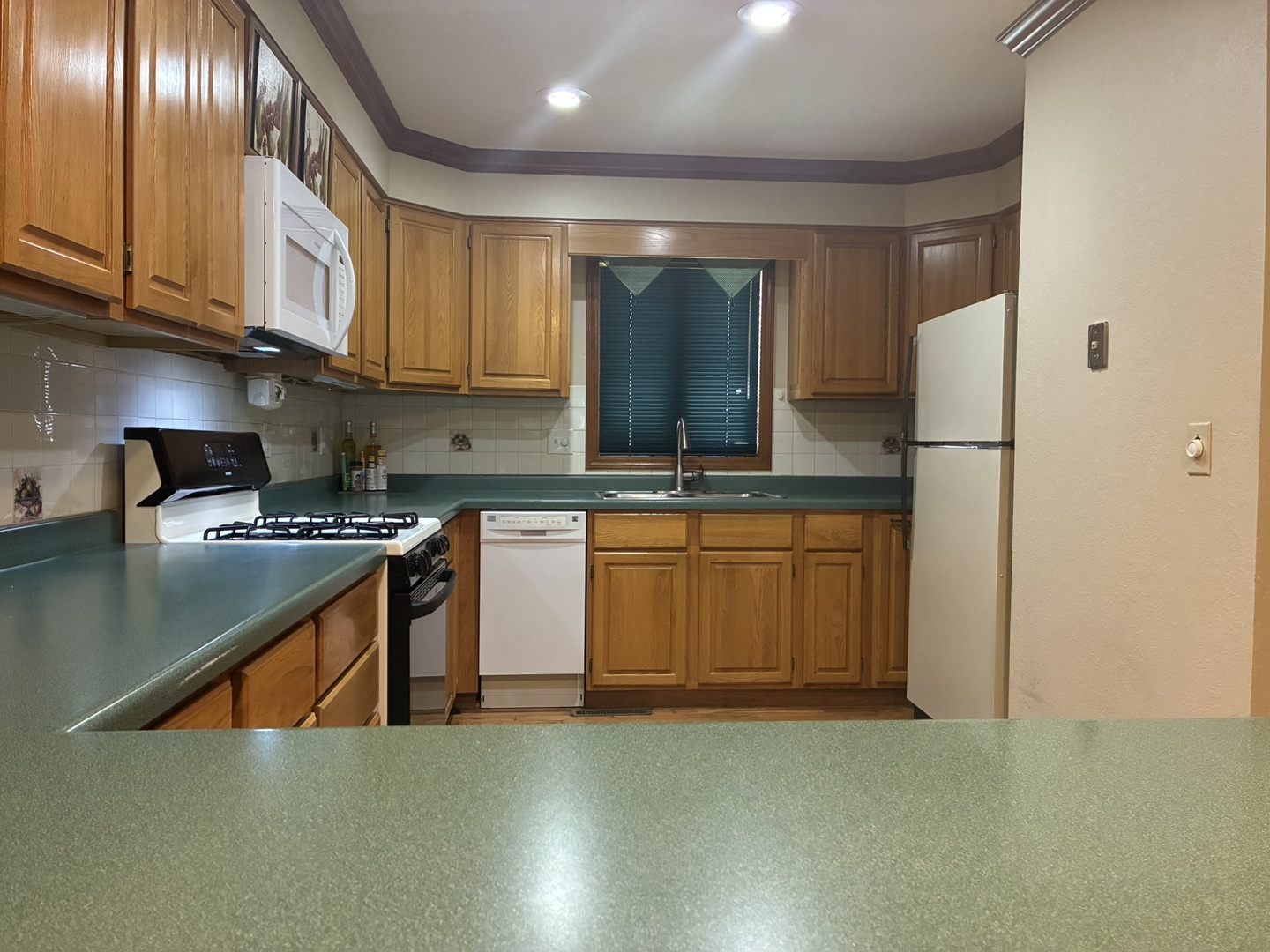 503 Donegal Drive Property Photo 6