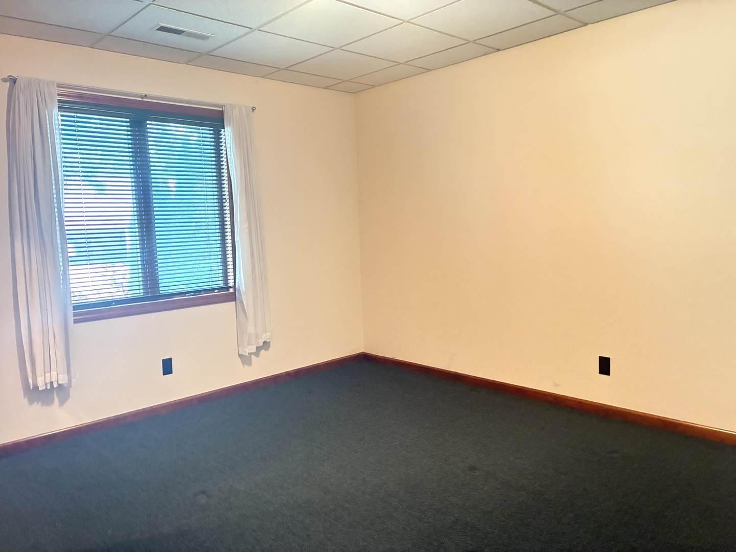 503 Donegal Drive Property Photo 19