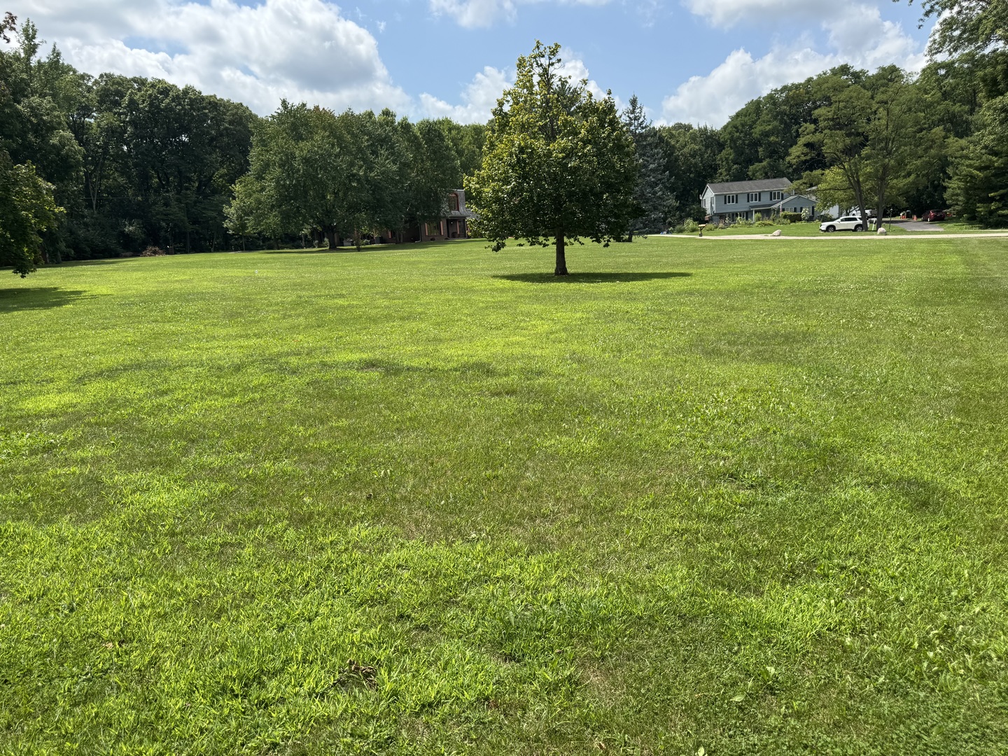 8n Cheviot Drive Property Photo 4