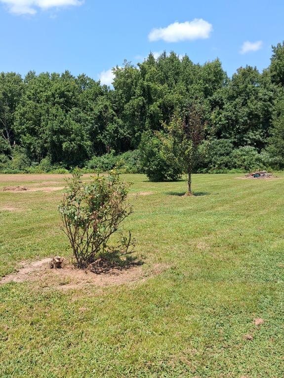 2559 Orient Road Property Photo 21