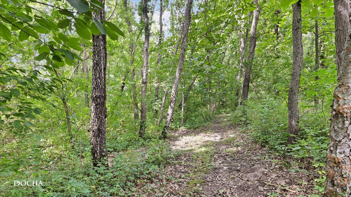 2796 Us Highway 51 Highway Property Photo 68