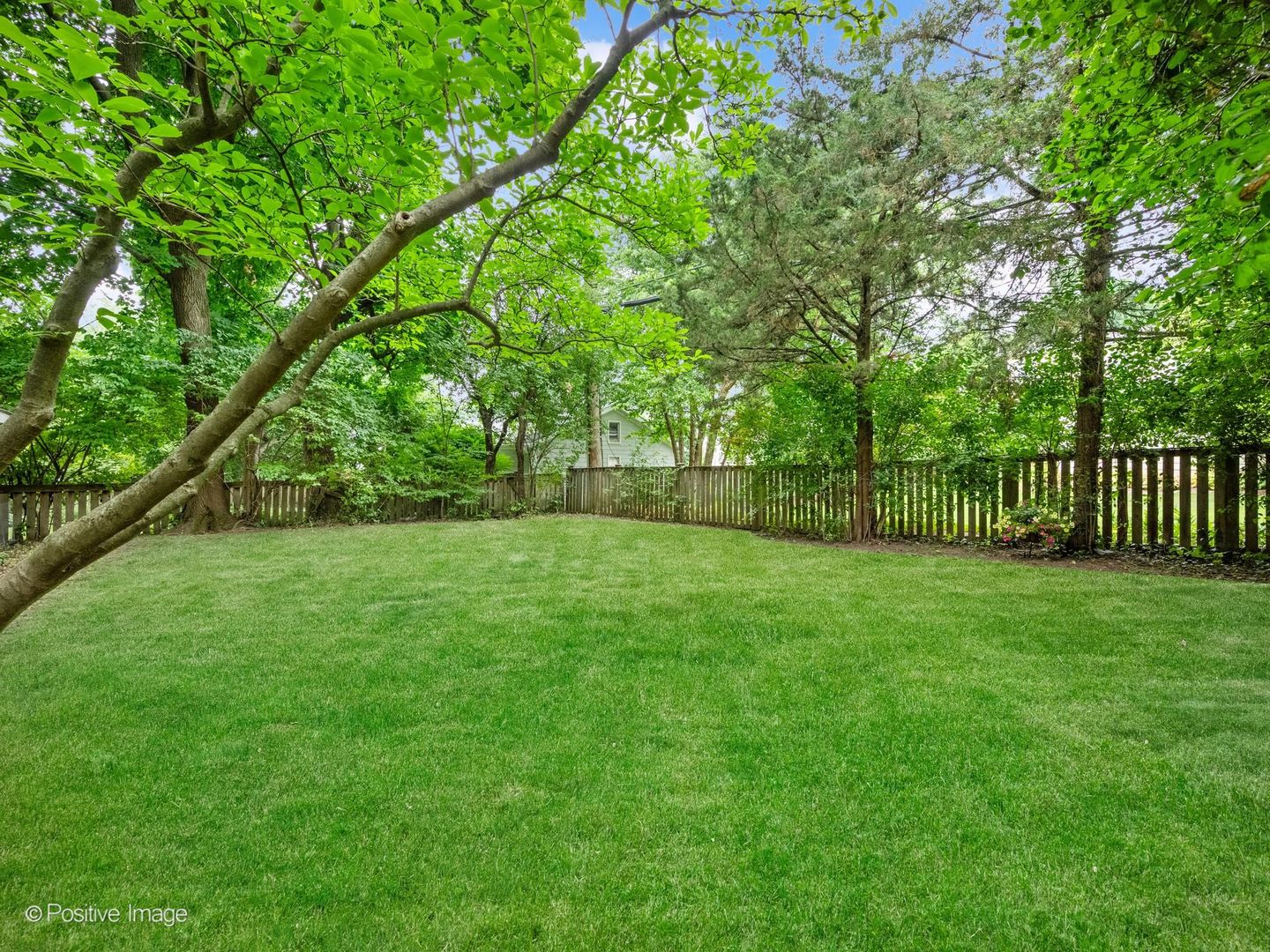 12726096 Property Photo 31