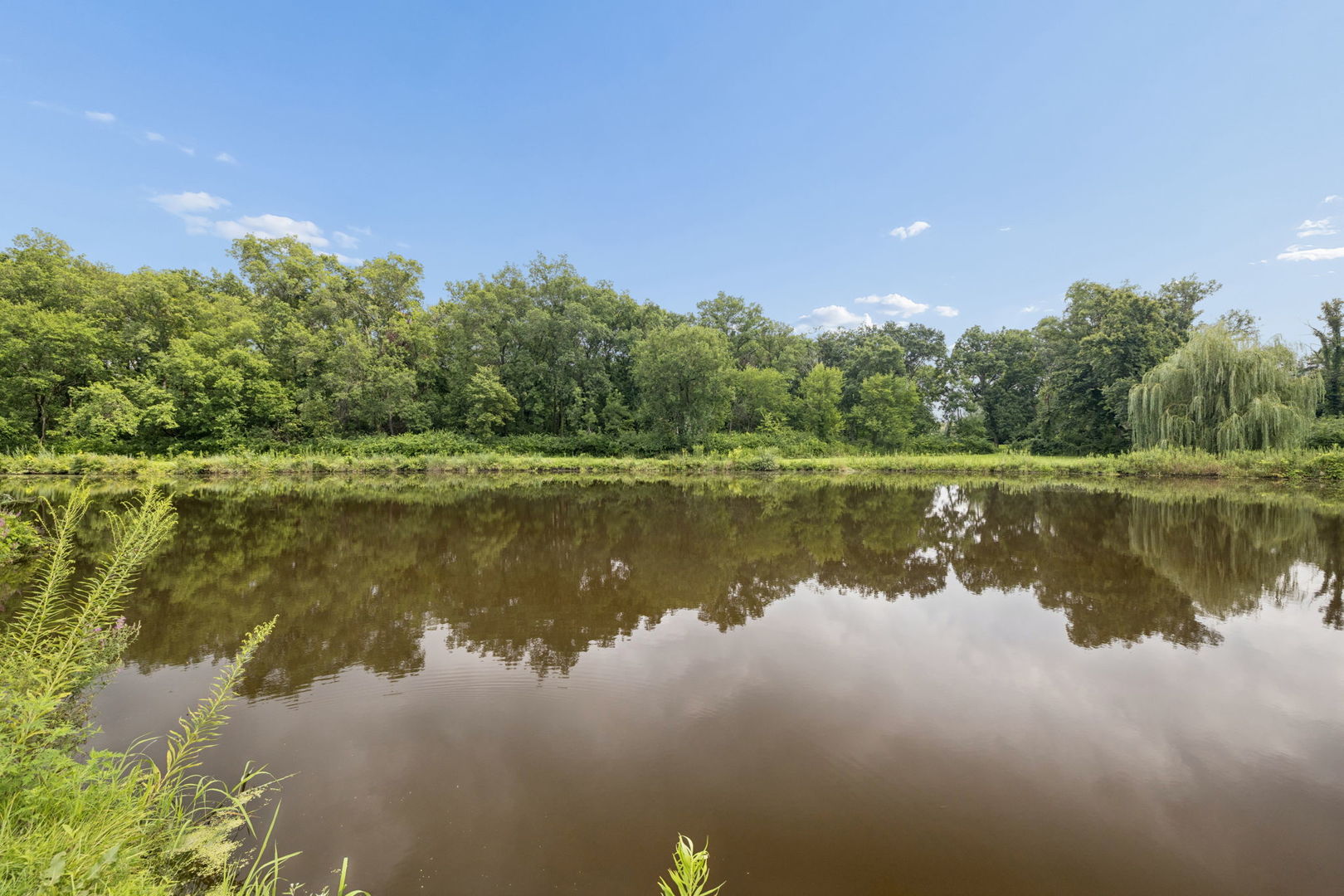 1122 Timber Trails Road Property Photo 24