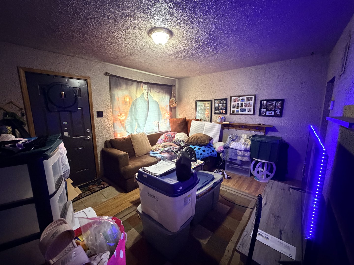 201 Lucinda Drive Property Photo 4
