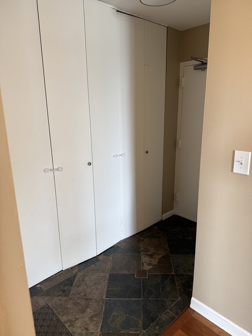 1355 N Sandburg Terrace 1801d Property Photo 13