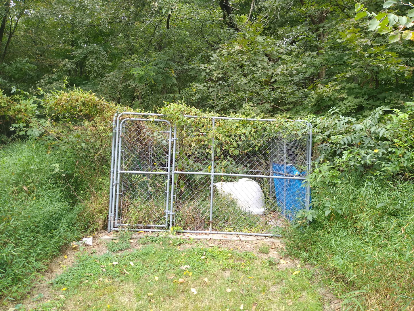 54 North Street Property Photo 11