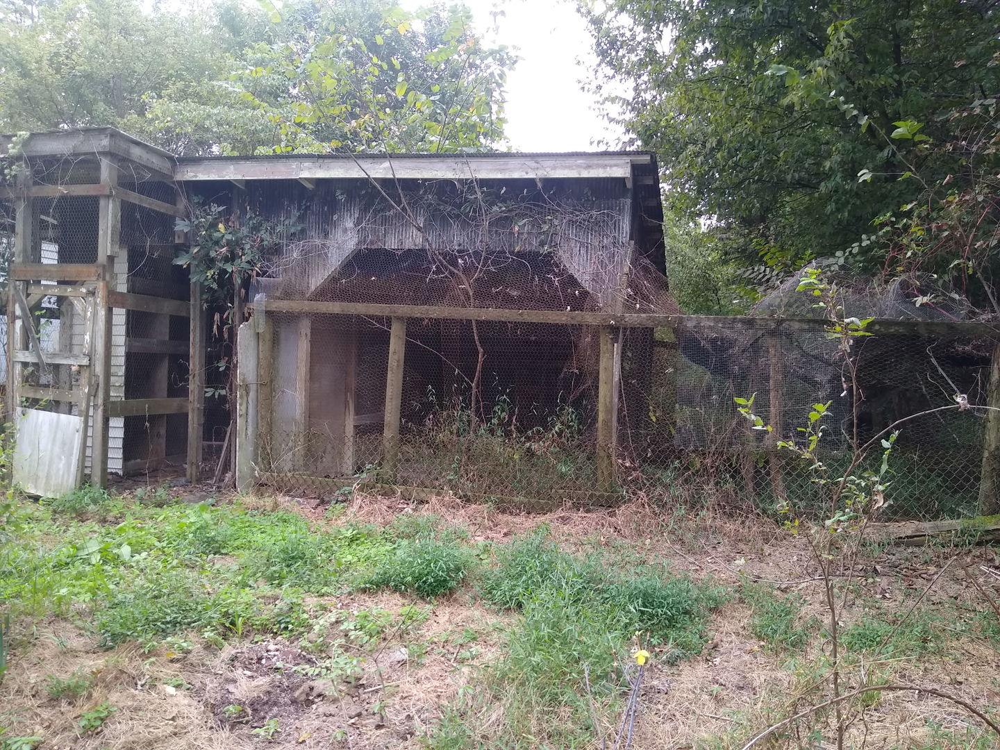 54 North Street Property Photo 12