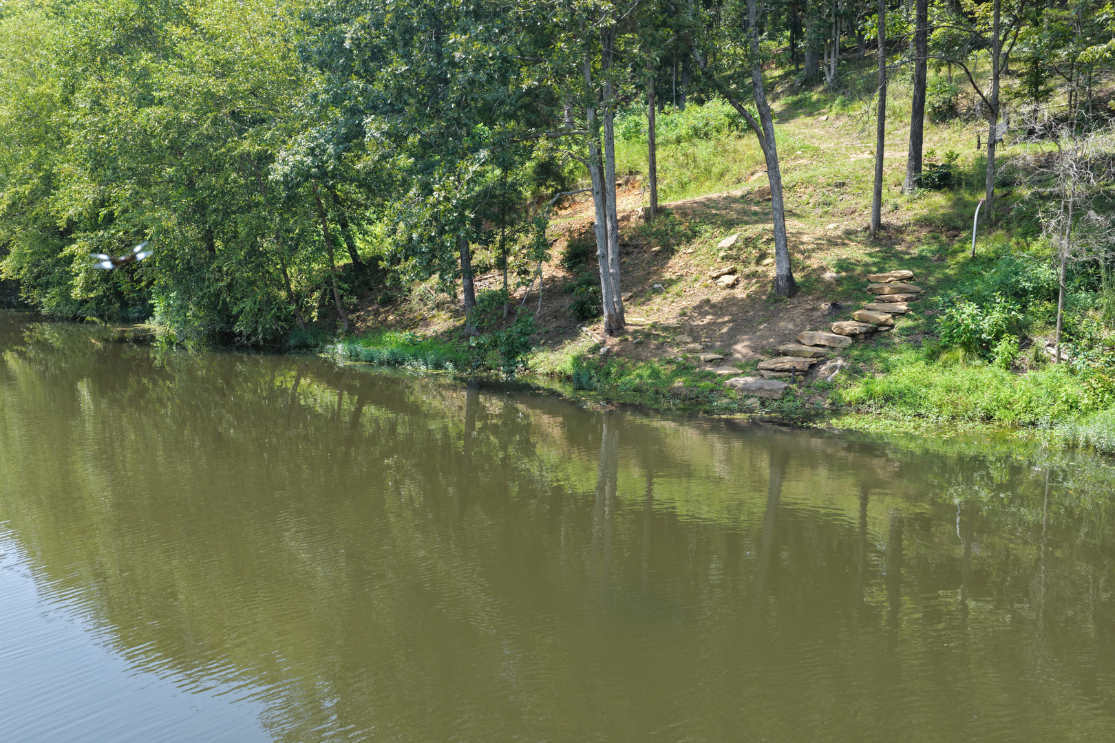 350 Sugar Creek Road Property Photo 44