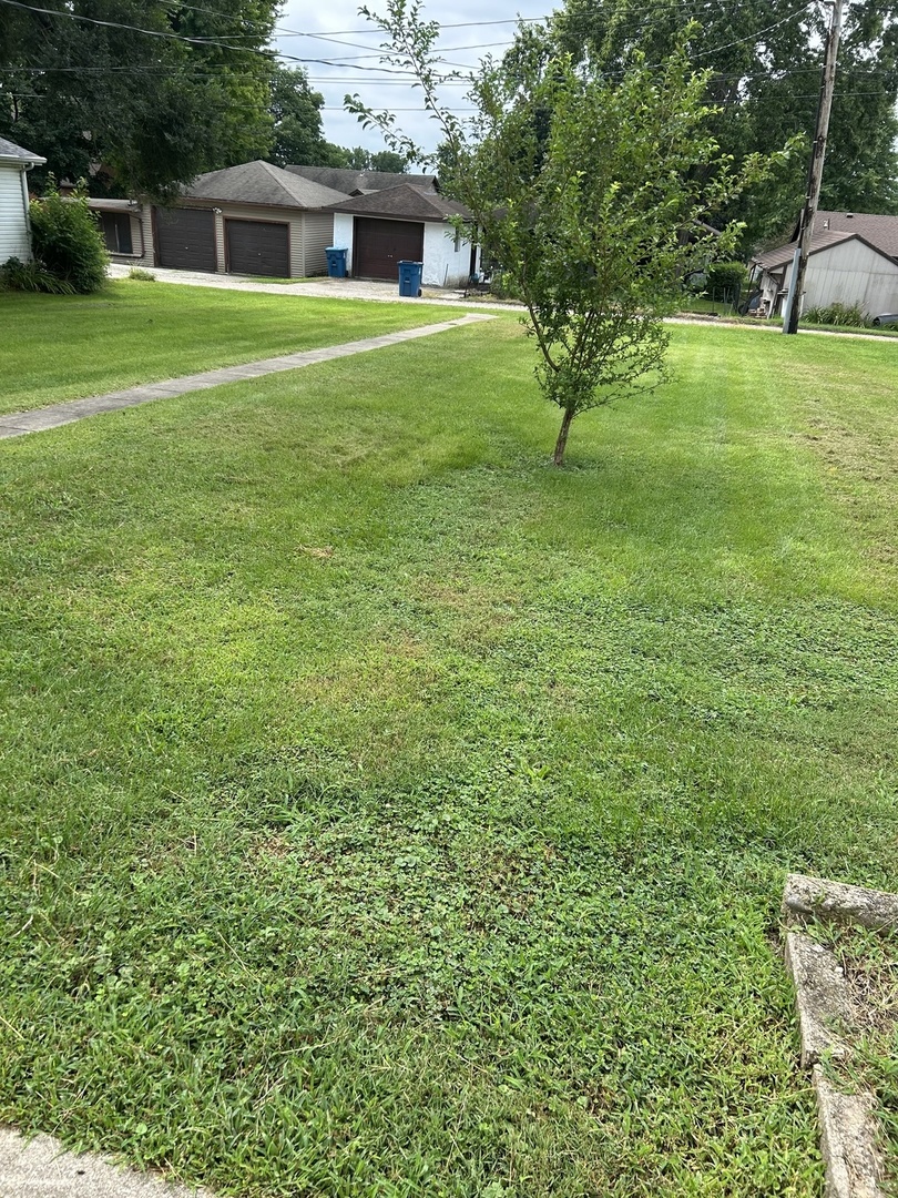 423 W Minnesota Street Property Photo 23
