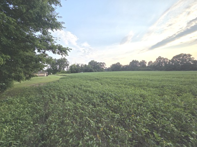 0 Phillip Street Property Photo 4